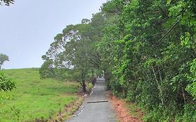 Daintree Holiday Homes - Yurara